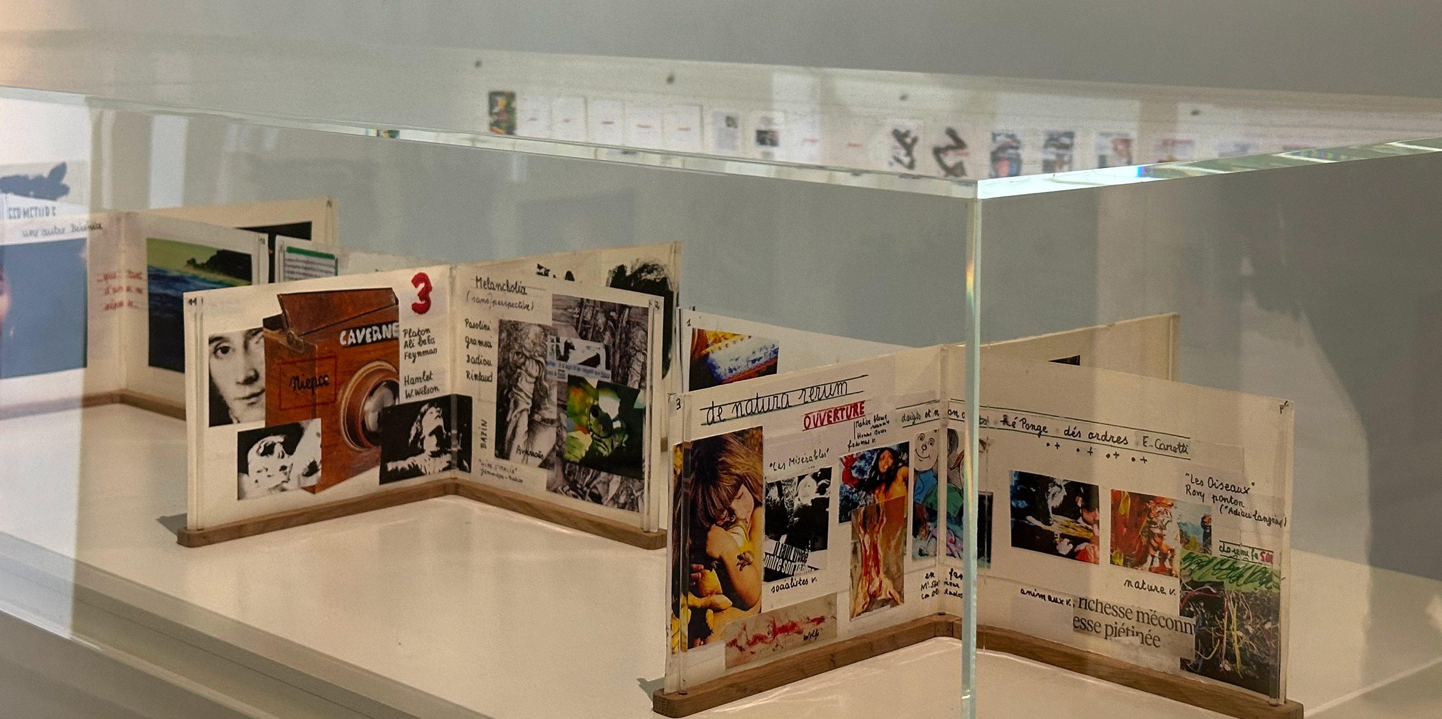 パリ オランジュリーー美術館での制作ノート 展示風景